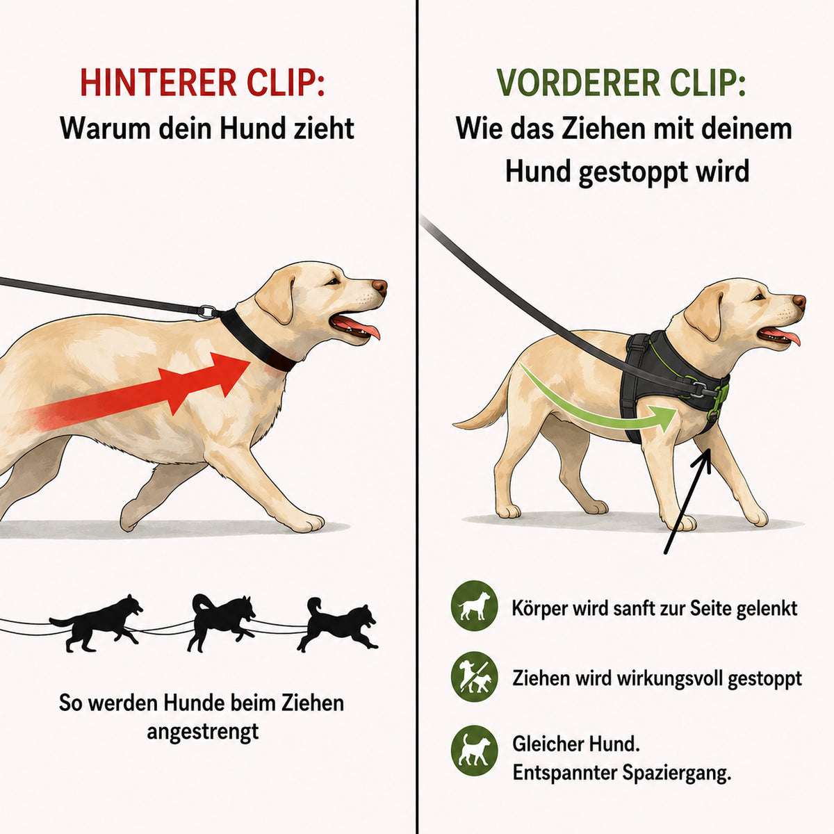 PfotenHerz™ Anti Zieh-Geschirr