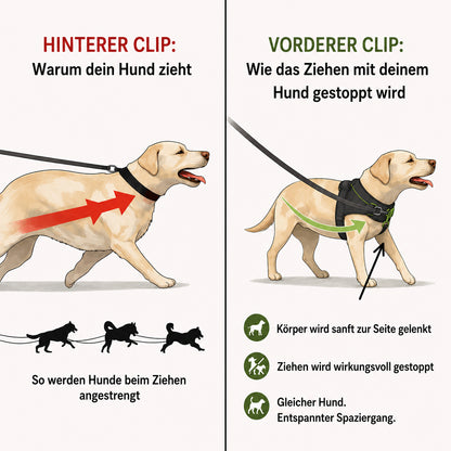 PfotenHerz™ Anti Zieh-Geschirr