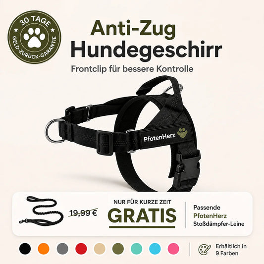 PfotenHerz™ Anti Zieh-Geschirr