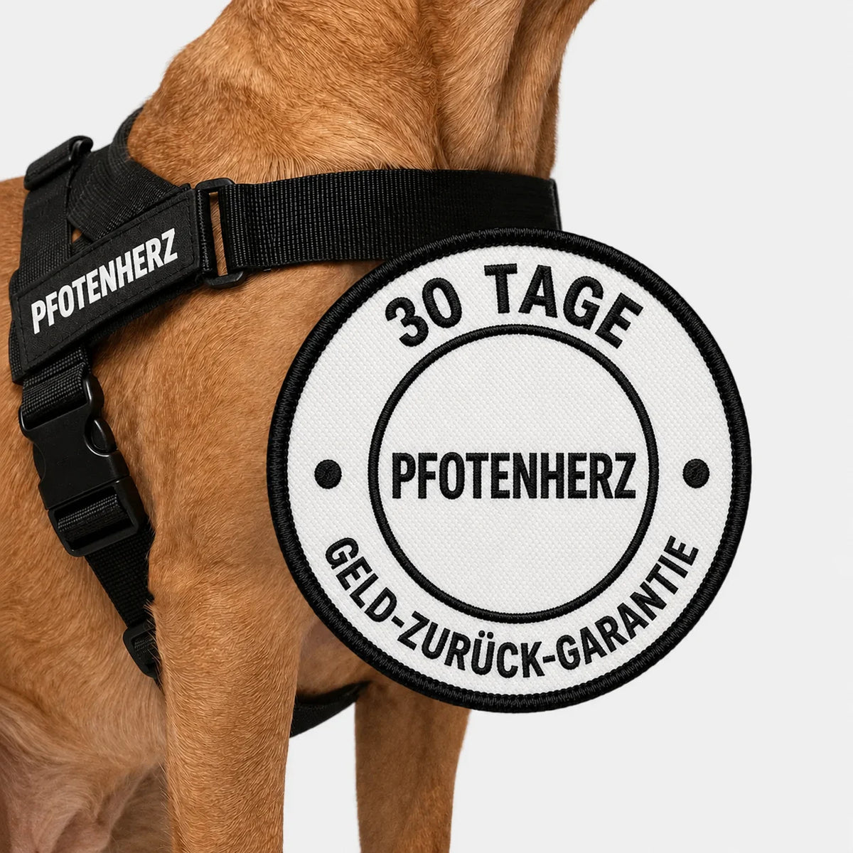 PfotenHerz™ Anti Zieh-Geschirr