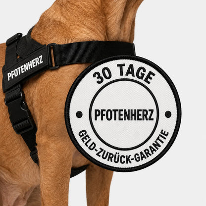 PfotenHerz™ Anti Zieh-Geschirr