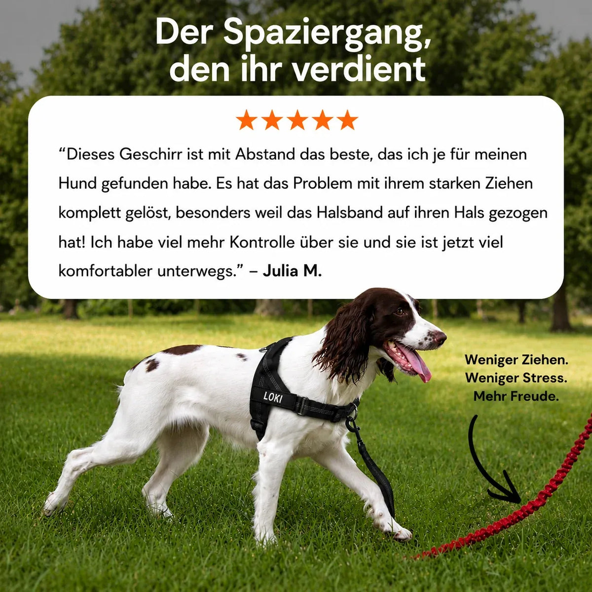 PfotenHerz™ Anti Zieh-Geschirr